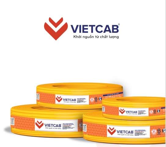 Vietcab: Vững bước đồng hành cùng người tiêu dùng Việt Nam